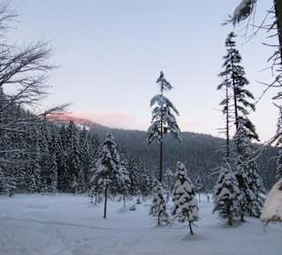 Blick auf den Großen Arber