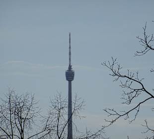 Rosensteinpark Blick zum Fernsehturm