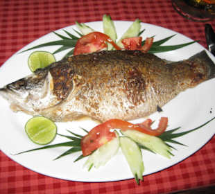 Leckerer Fisch