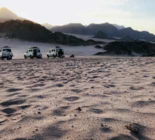 Wüsten Zoo Hurghada