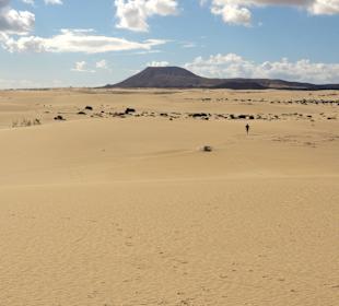 Impressionen aus der Dünenlandschaft