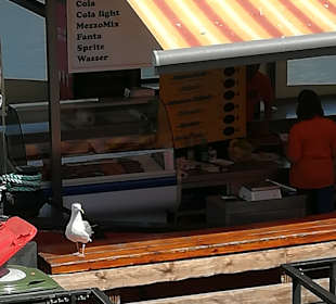 Hafenrundfahrt Warnemünde