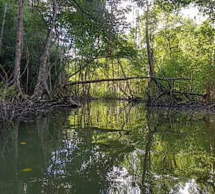 Los Haitises Nationalpark