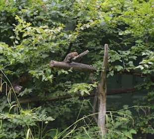 Allwetterzoo Münster