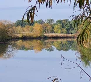 Untere Allerniederung 