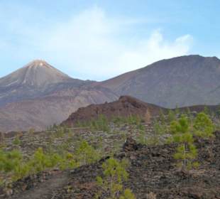Und ist auch von überall zu sehen