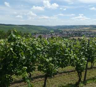 Blick von den Weinbergen / Weingärten Markelsheims