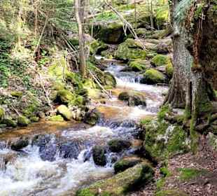 Natur pur