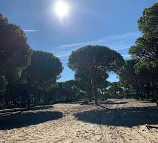 Reitstall Finca el Anfora Conil