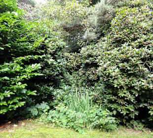 Spaziergang durch Thieles Garten