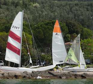 Unsere Cats und Jollen