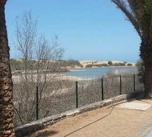 Dünen von Maspalomas