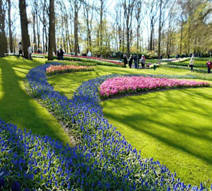 Blumenpracht im Keukenhof