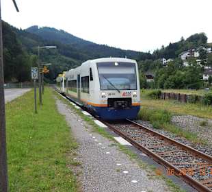 Kostenlos im Schwarzwald