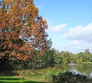 Rundgang um den Drielaker See