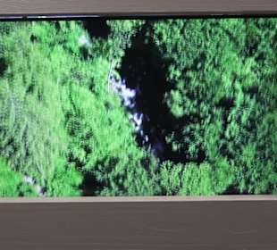 Heimatschutzzentrum in der Villa Patumbah