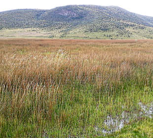 Cotopaxi Nationalpark