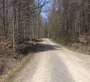 Fäulbachtal