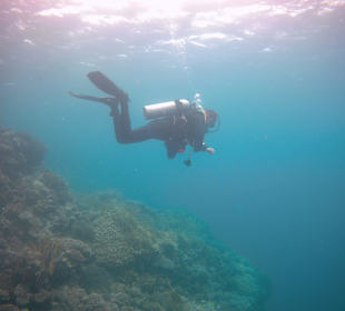 Tauchen Marsa Alam