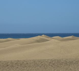 Dünen von Maspalomas