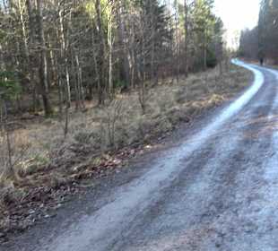 Wanderung rund um den Ochsenweiher