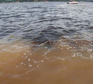 Meeting of the Waters, Amazonas Rio Negro