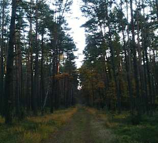 Kampinoski Park Narodowy
