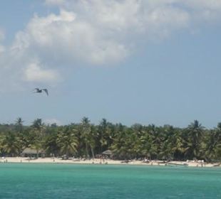 Blick auf die Küste