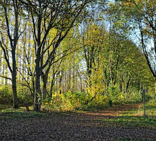 Eindrücke vom Rundweg durch den Volkspark Bokel