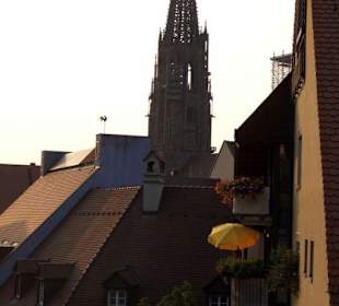 Dächer und Münster