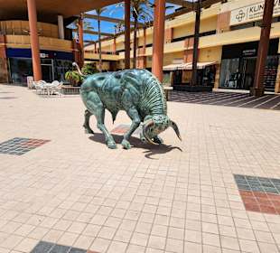 Stadtrundgang Jandia / Playa de Jandia