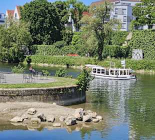 Der Schwal