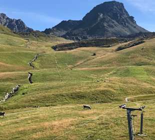 Schöne Wanderwege am Berg