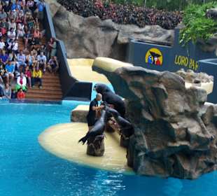 Ausflug zum Loro Park