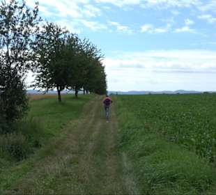 Sonnenaufgangs-Rundwanderung Rübgarten