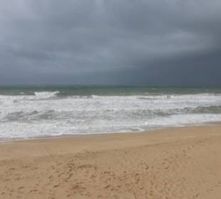 Halbinsel Ilha do Ancão / Ilha de Faro: Strand