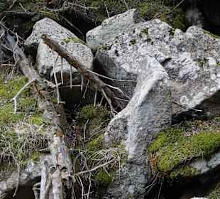 Berg Schneekoppe/Śnieżka