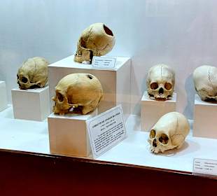 Museo de Sitio Qorikancha