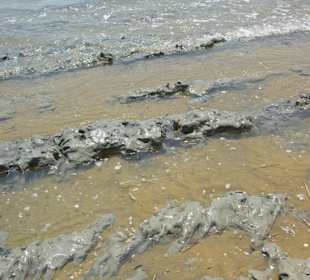 Strand von Bibione 06-2010