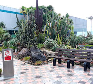Kaktusgarten - Raucherzone