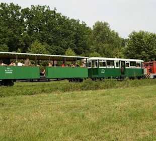 Längste Waldbahn Ungarns