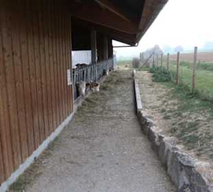 Erlebnisbauernhof und Wildgehege