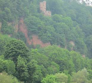 Schifffahrt auf dem Neckar
