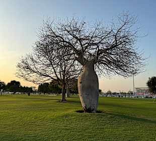 Aspire Park