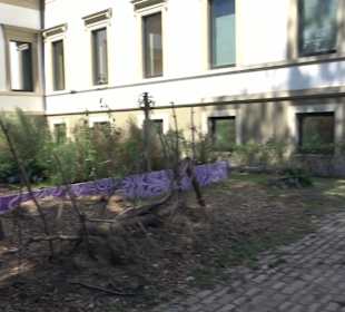 Wilhelmspalais