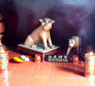 Wihara Dharma Bhakti