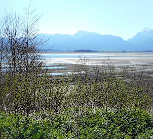 Blick auf den Forggensee (13.4.16)