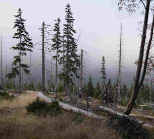 Riesengebirge/Karkonosze