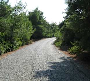 Weg nach Teos- grüne Ruhe