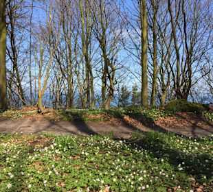 Hochuferweg ca 1Km hinter Binz